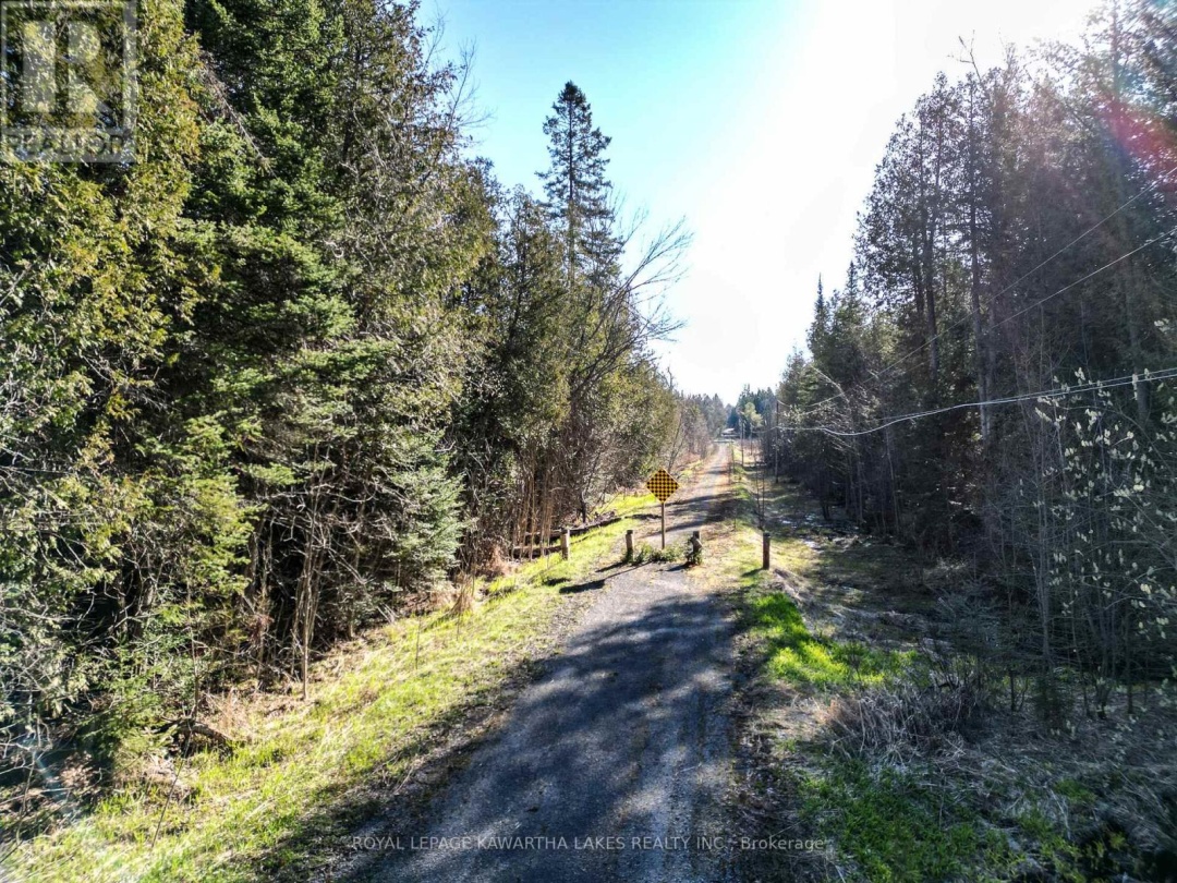 LT 4 DUTCH LINE ROAD W, Trent Lakes