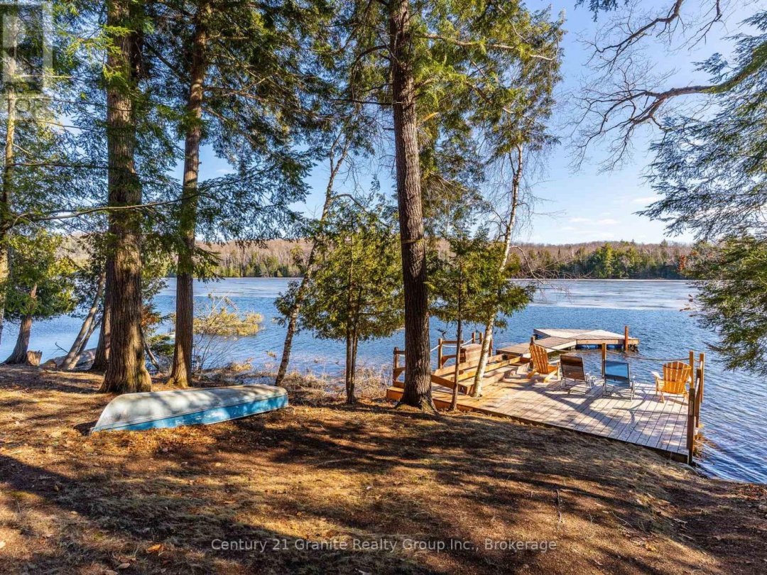 1133 SISU LANE, Long Lake