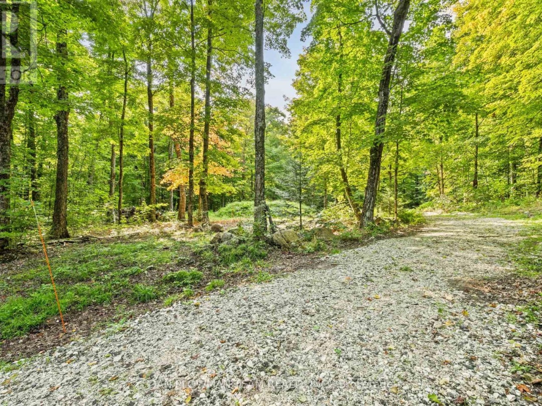 1409 BASSHAUNT LAKE ROAD, Dysart et al (Guilford)