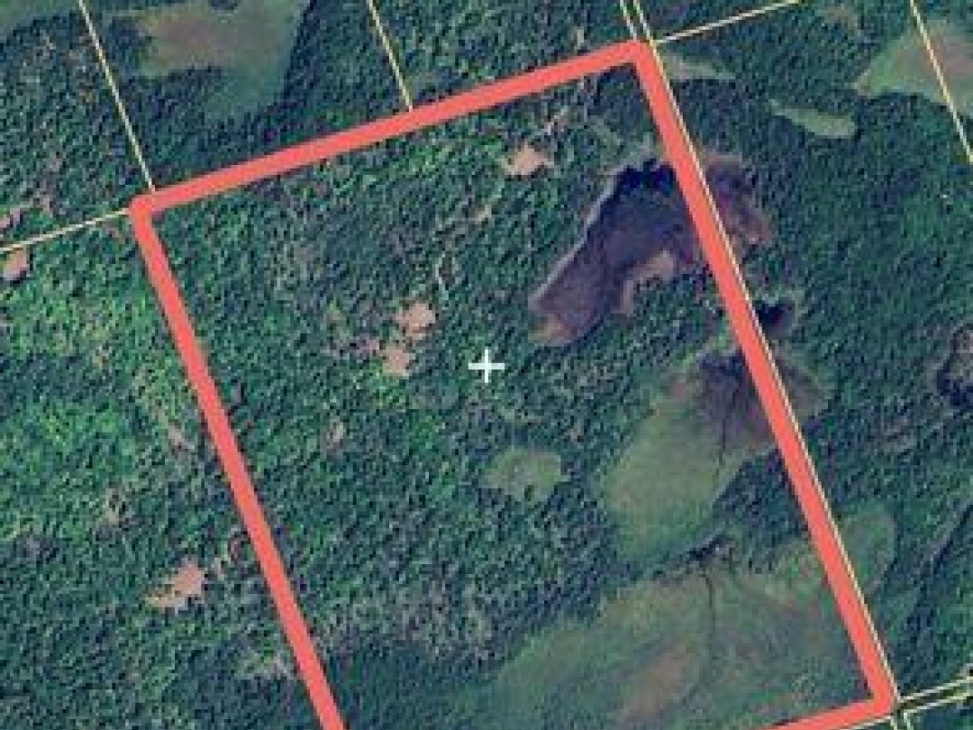 1407 PAYNES ROAD, 