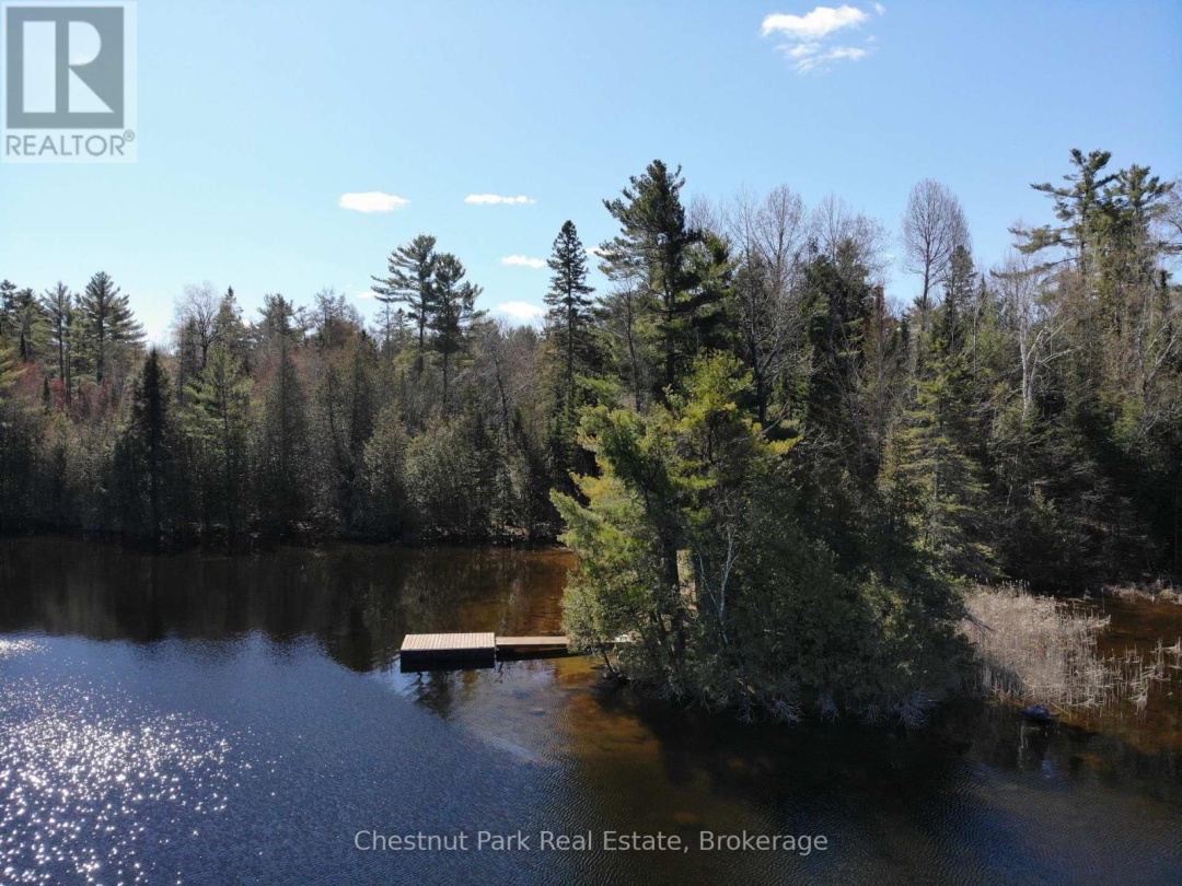 10453 COUNTY ROAD 503 ROAD, Gooderham Lake