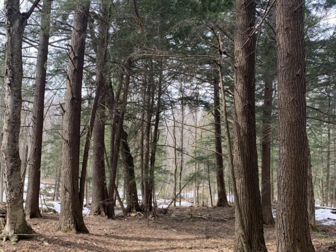 0 KASHAGAWIGAMOG LAKE ROAD, Dysart et al (Dysart)