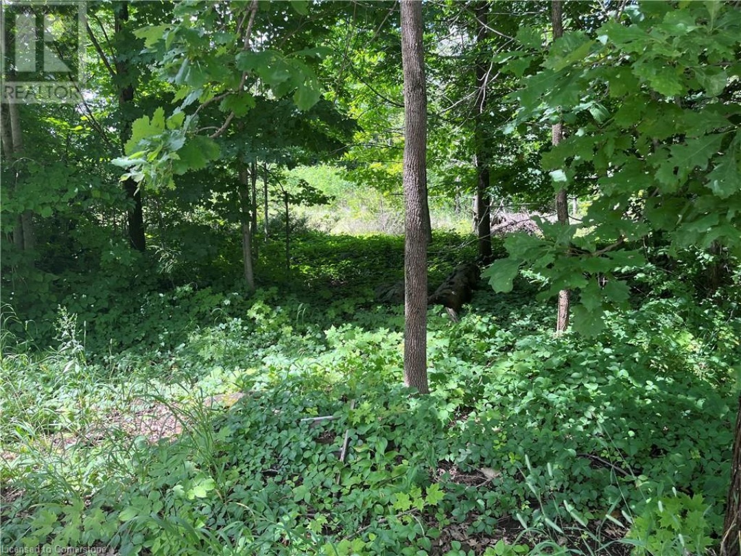 12 SUTER Drive, 