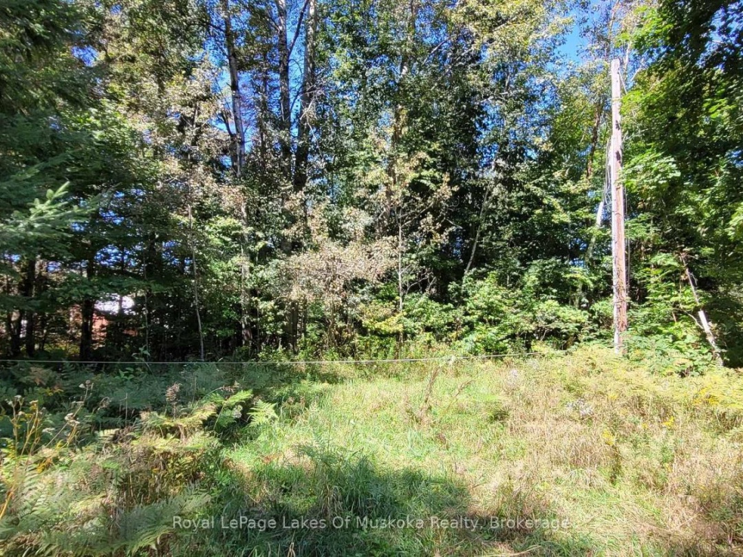 1059 ABLETT COURT, Algonquin Highlands (Stanhope)