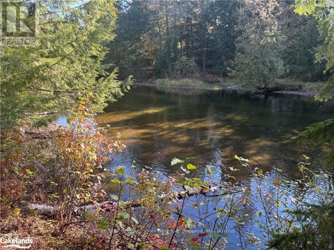 1081 HAWK VALLEY ROAD, Kennisis River
