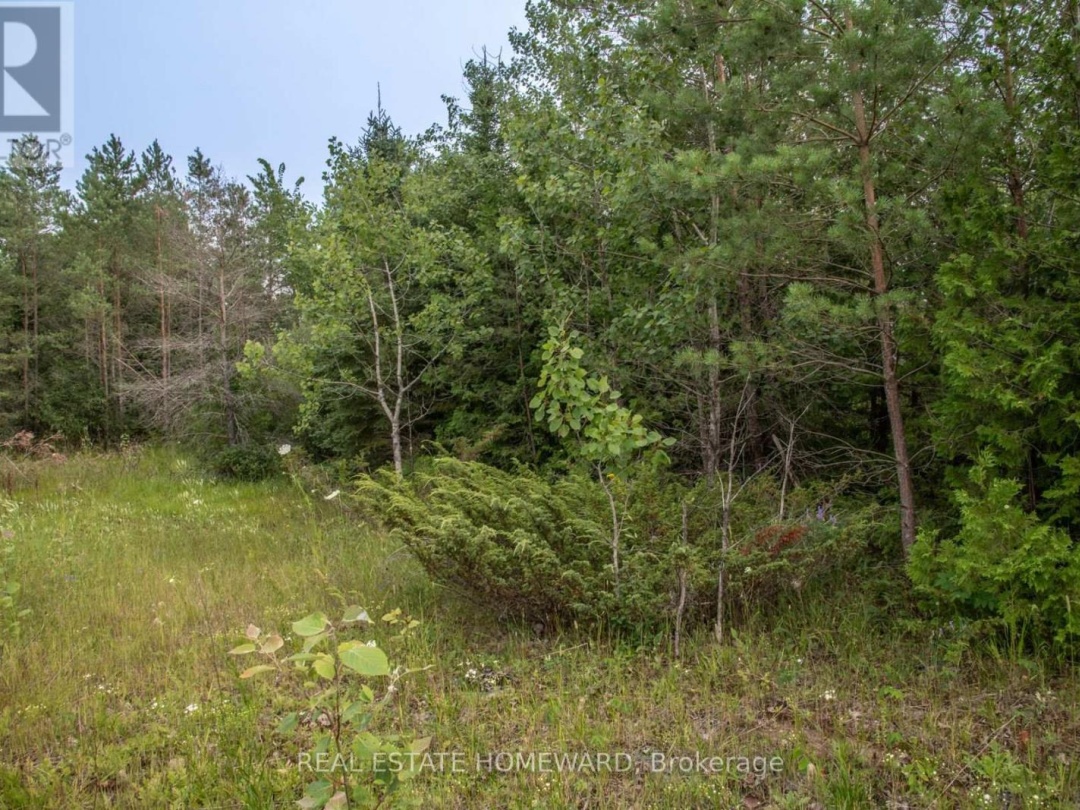LOT 256 MCGUIRE BEACH ROAD, Canal Lake