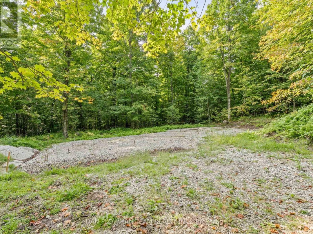 1409 BASSHAUNT LAKE ROAD, Dysart et al (Guilford)