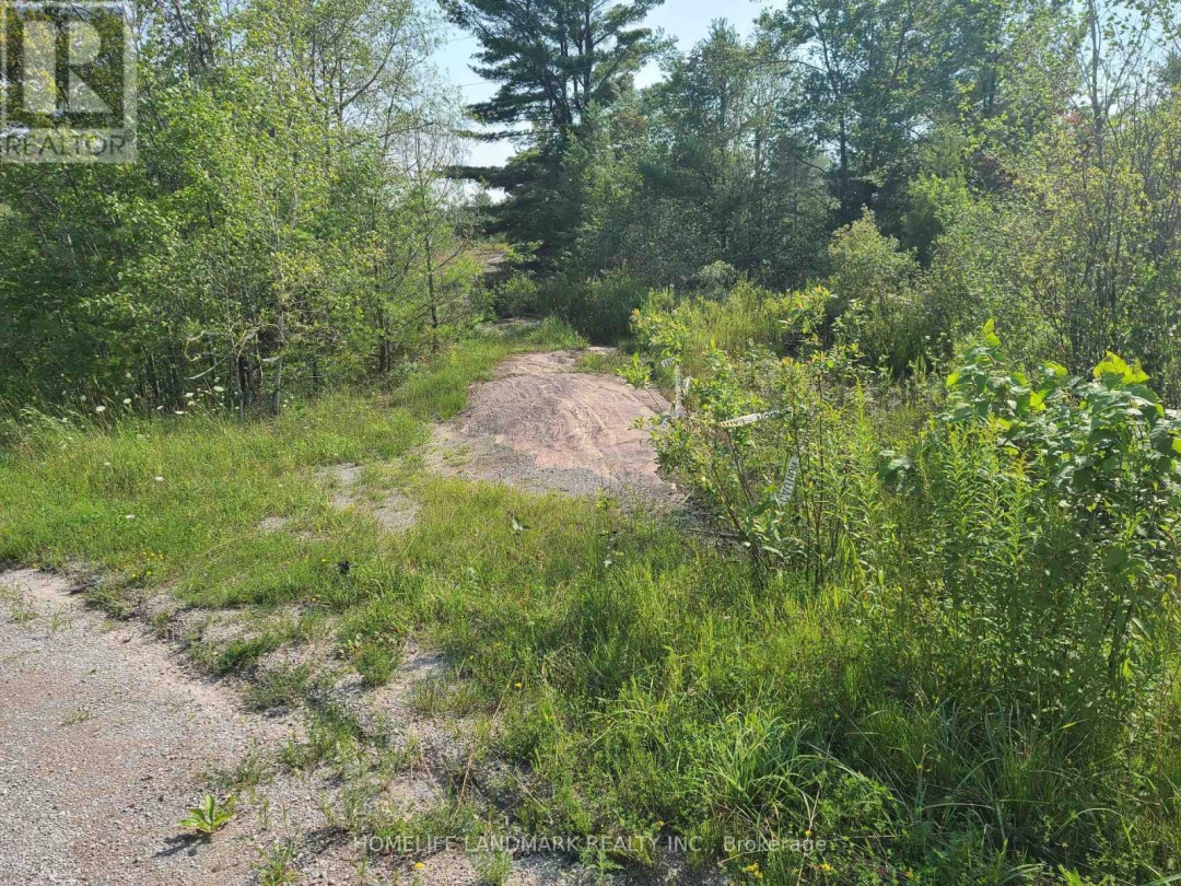26-28 CHISHOLM TRAIL, Kawartha Lakes (Dalton)