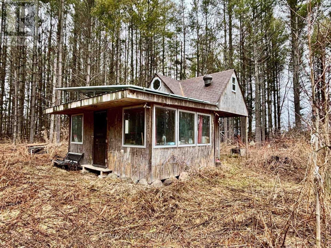 B1780 THOROH CONC 3 RD CONCESSION, Brock