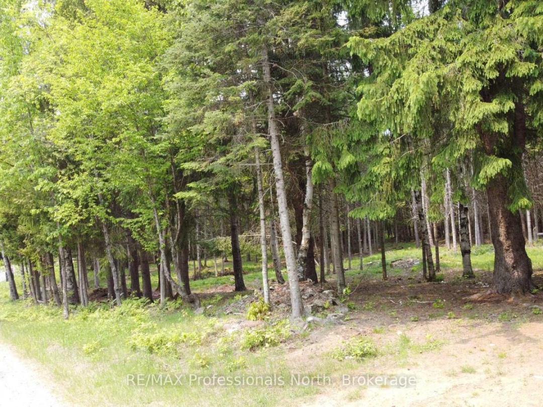 1897 BLAIRHAMPTON ROAD, Minden Hills (Minden)