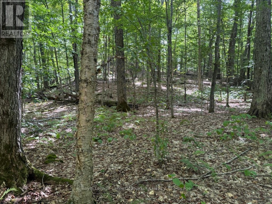 LOT 85 BRENNAN CIRCLE, Lake Vernon
