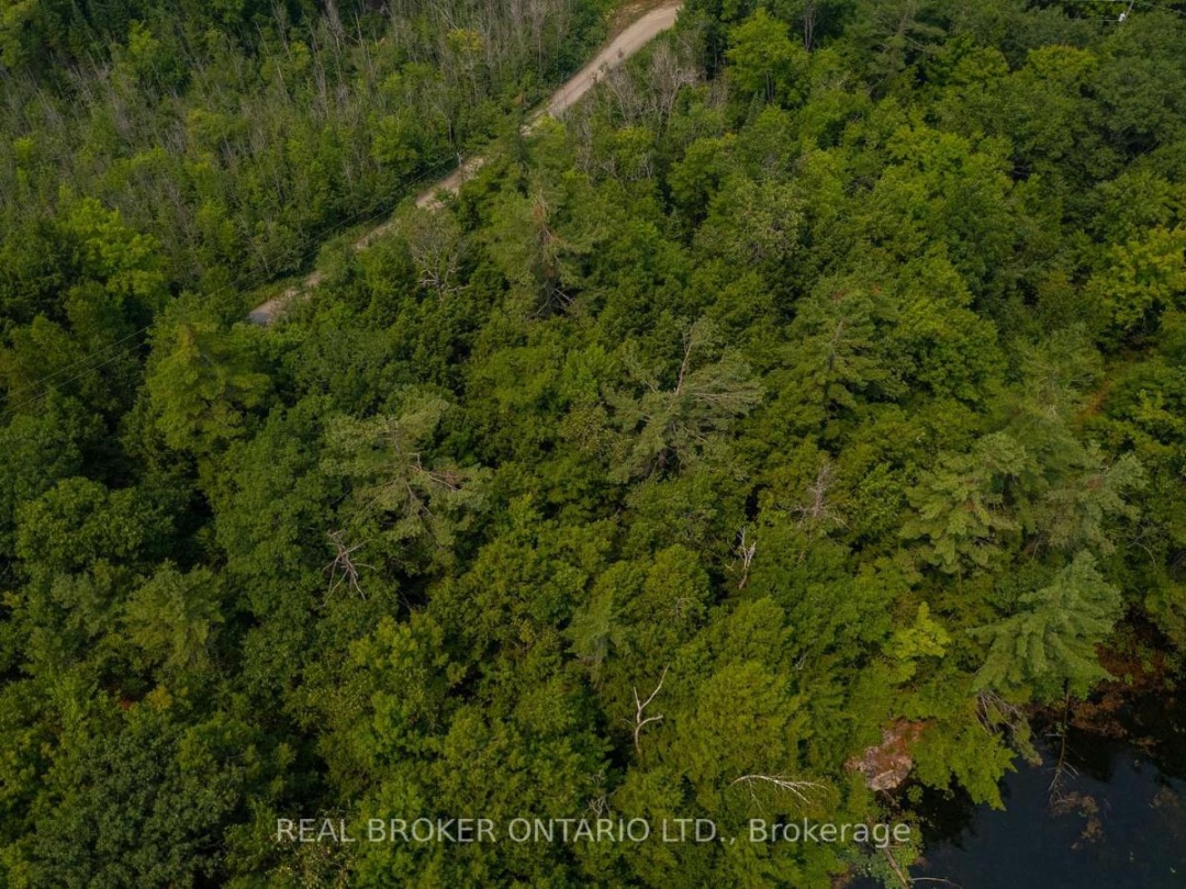 LOT 13 4 WHEEL DRIVE, Severn River