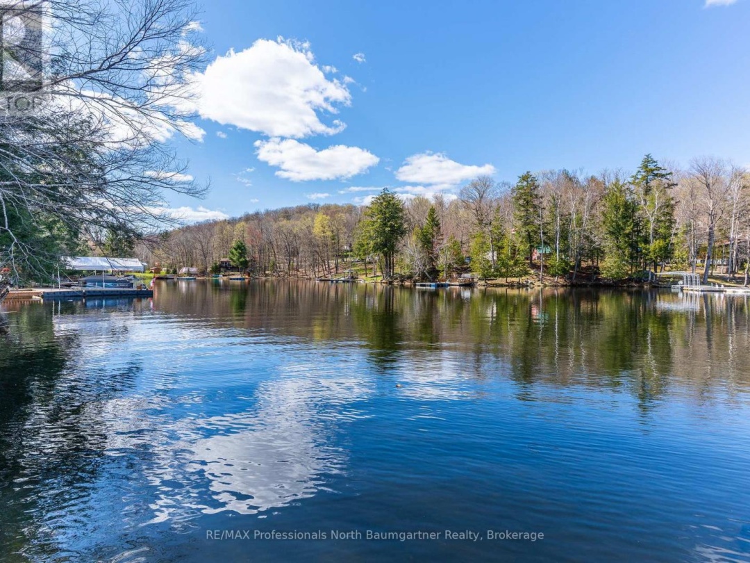 1053 MINK ROAD, Long Lake