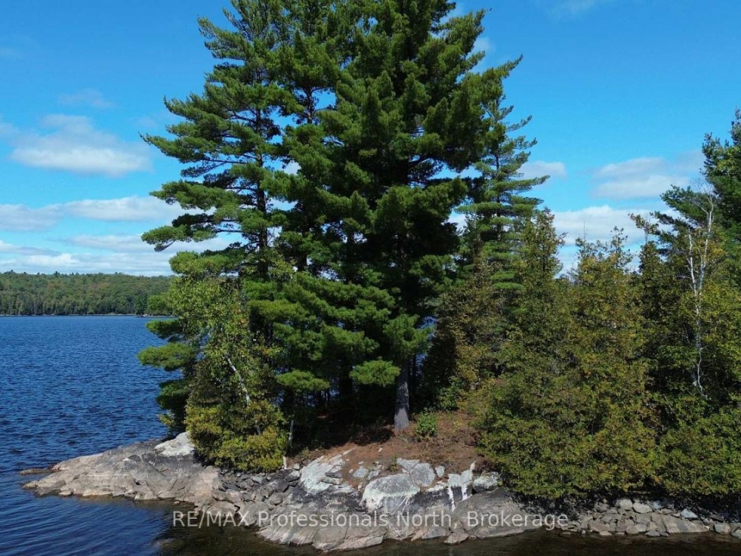 10191 FARQUHAR SOUTH SHORE, Farquhar Lake