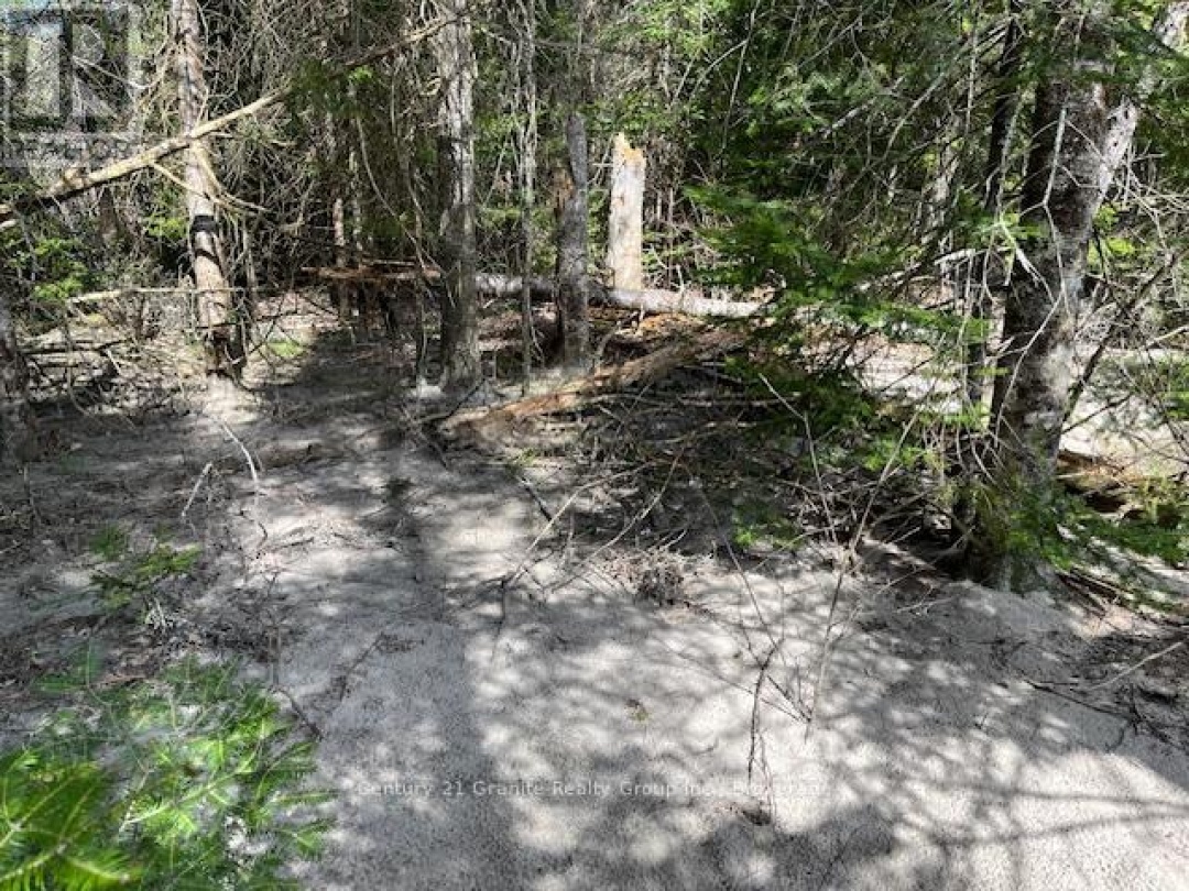 0 COUNTY ROAD 503, Irondale River