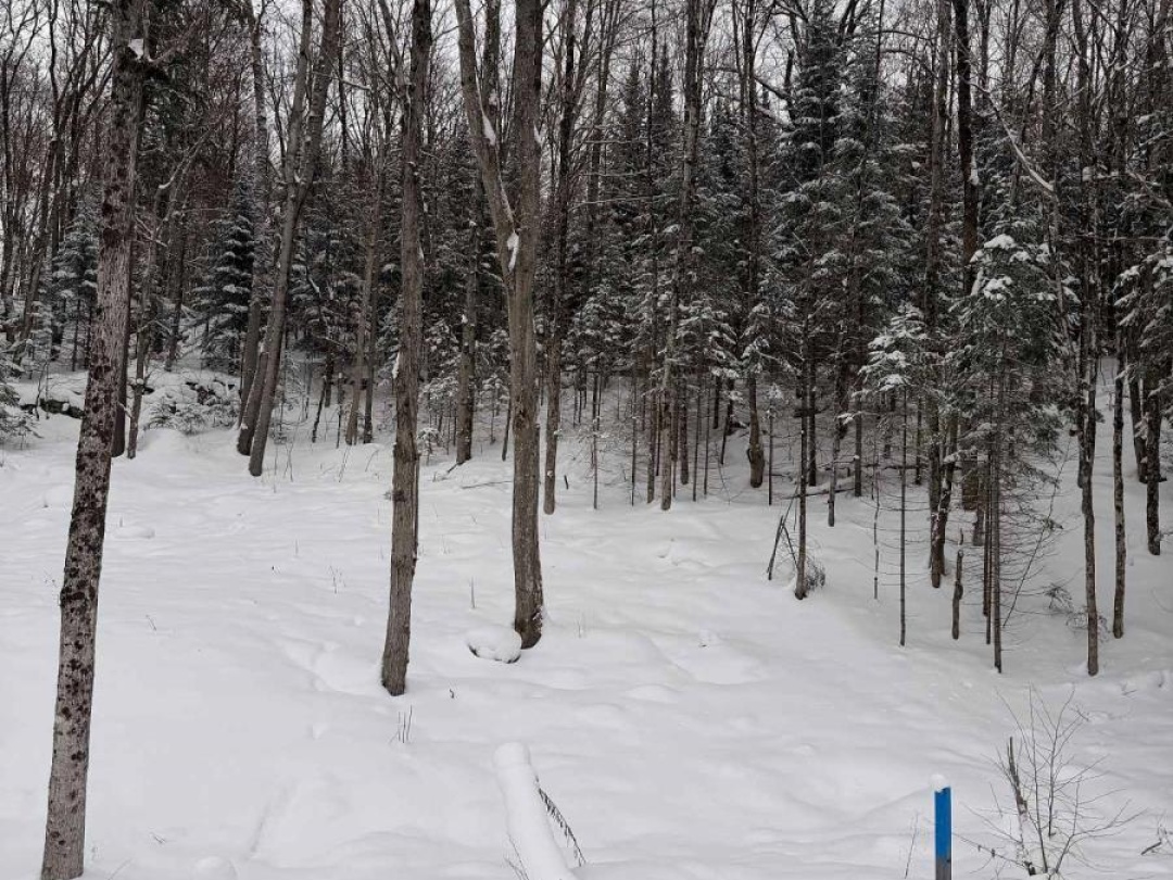 LOT 23 GLEN EAGLE COURT, Huntsville (Chaffey)