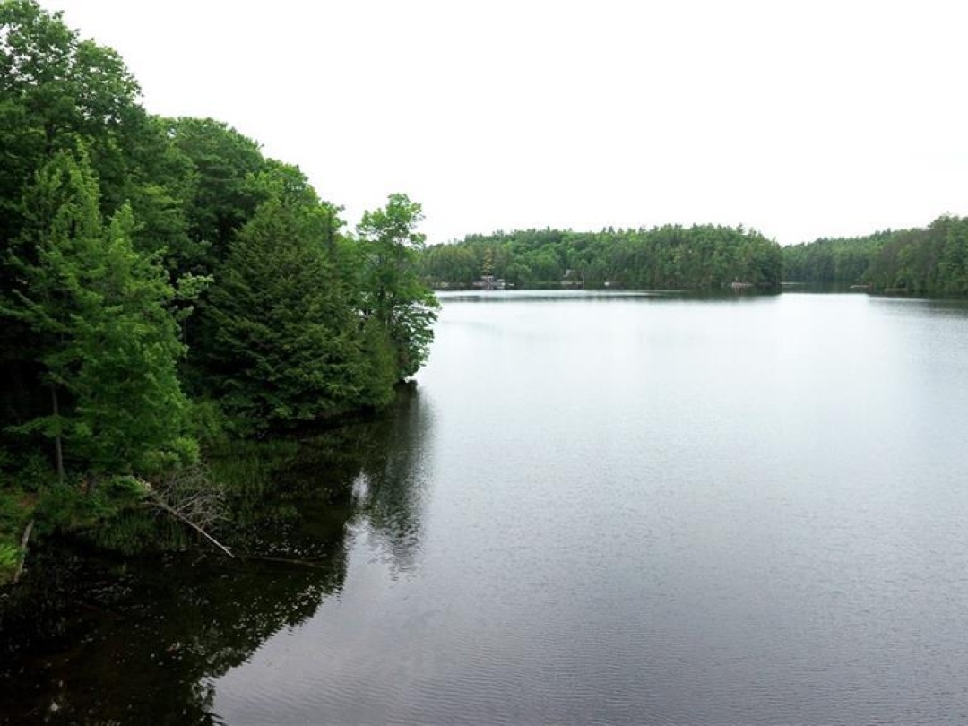 0 Medallion Trail, Moore Lake