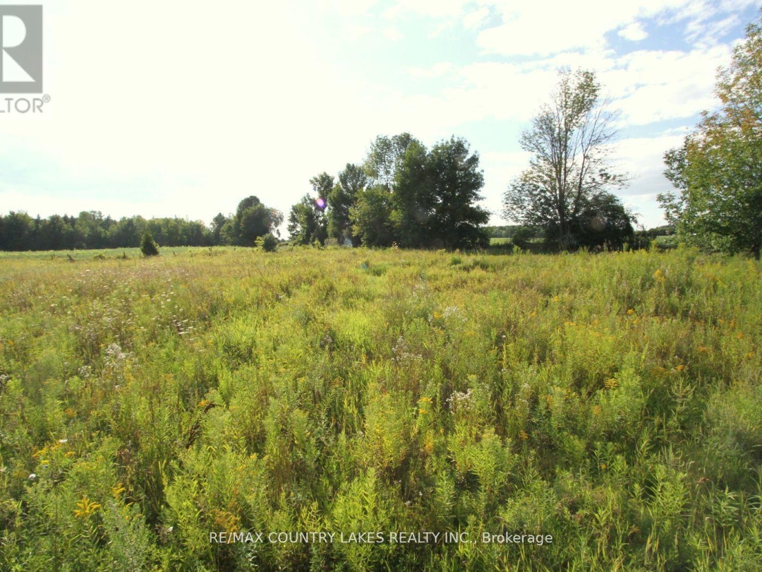 LT 22 KIRKFIELD ROAD, Kawartha Lakes (Eldon)