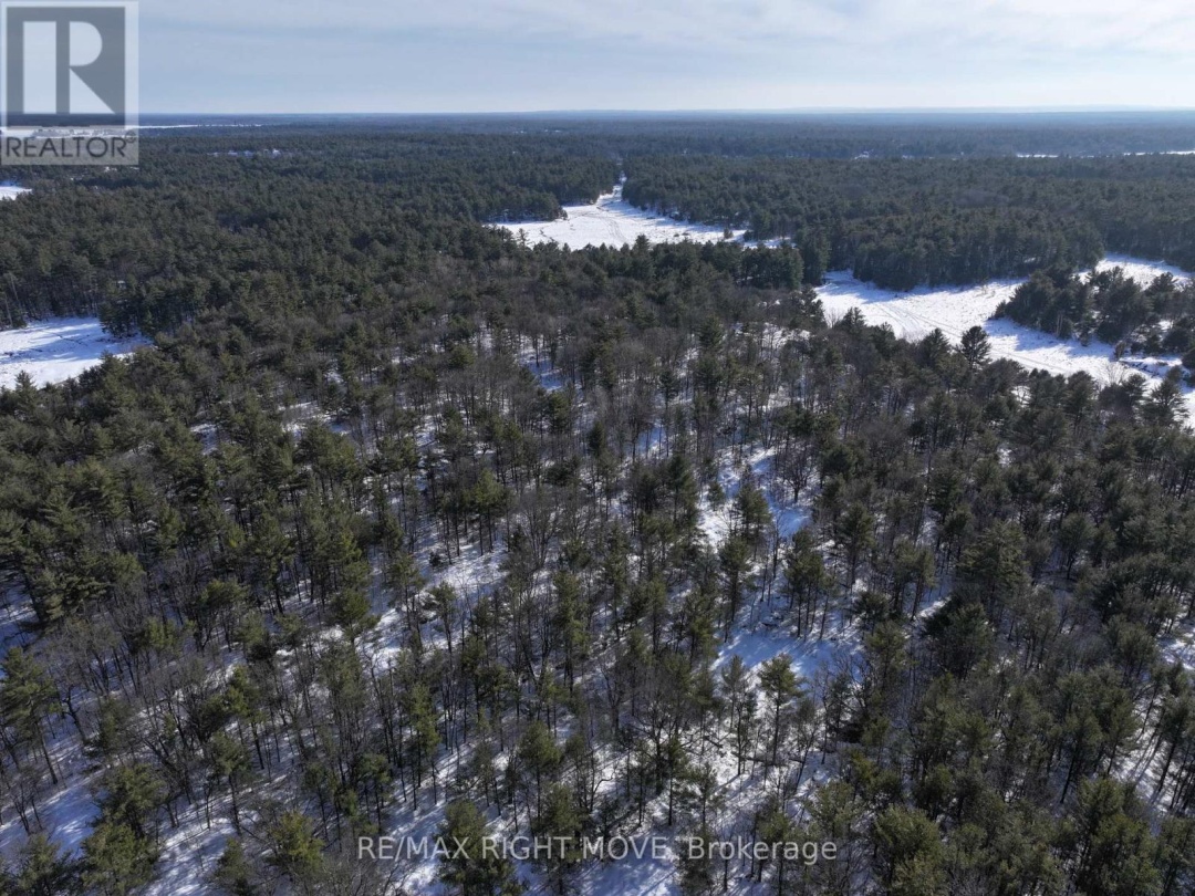 2503 SOUTHWOOD ROAD, Gravenhurst (Morrison)
