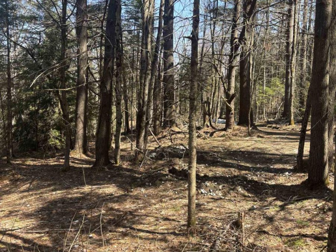 0 KIRKPATRICK LANE, Bracebridge (Draper)