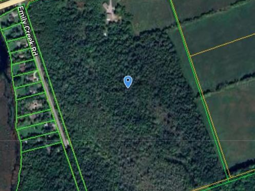 2236 COUNTY 36 ROAD, Kawartha Lakes (Verulam)