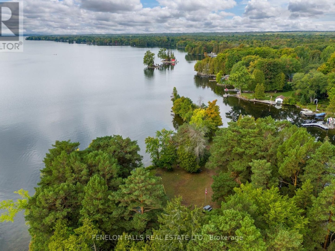138 ALPINE LAKE ROAD, Pigeon Lake