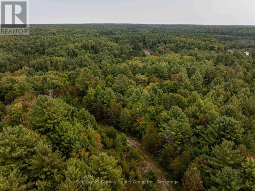 4729 COUNTY ROAD 121, Minden Hills (Lutterworth)