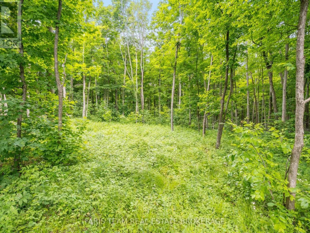 365 ROBINS POINT ROAD, 