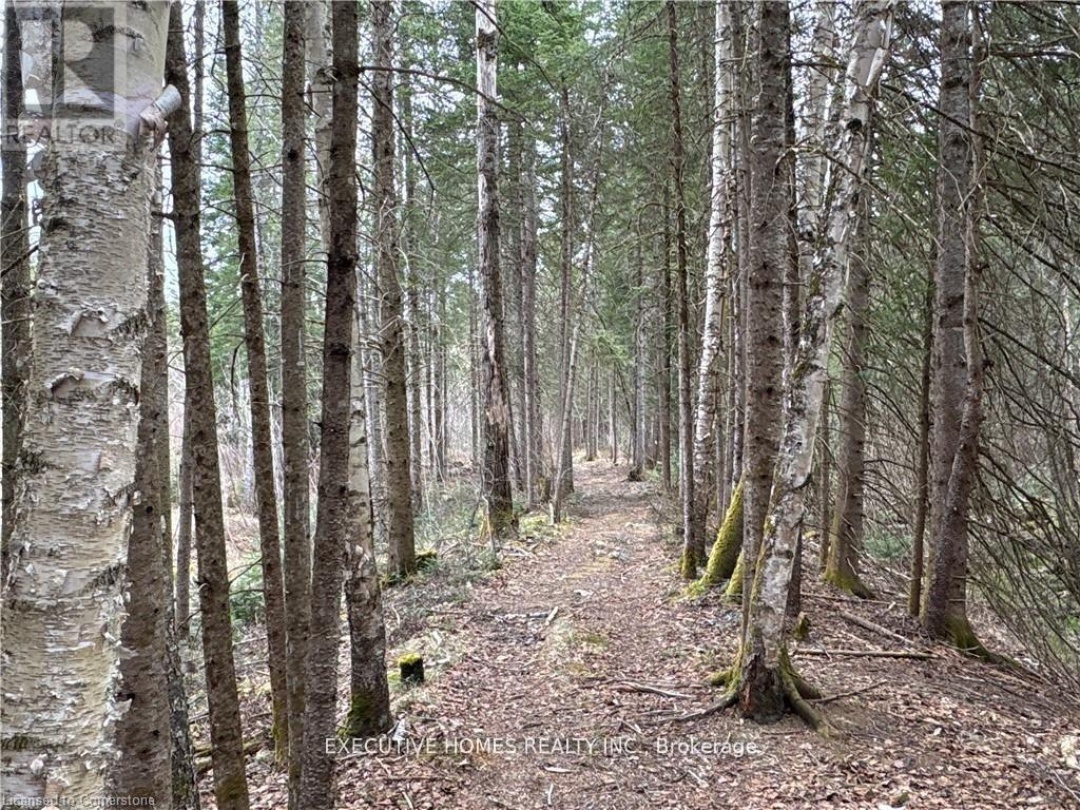 1014 BULRUSH TRAIL, Highlands East (Glamorgan)