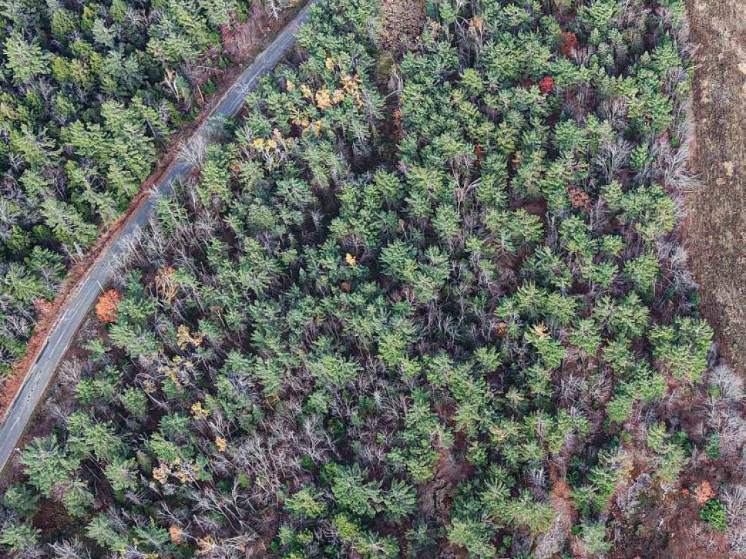 1036 HOPKINS ROAD, Gravenhurst (Ryde)