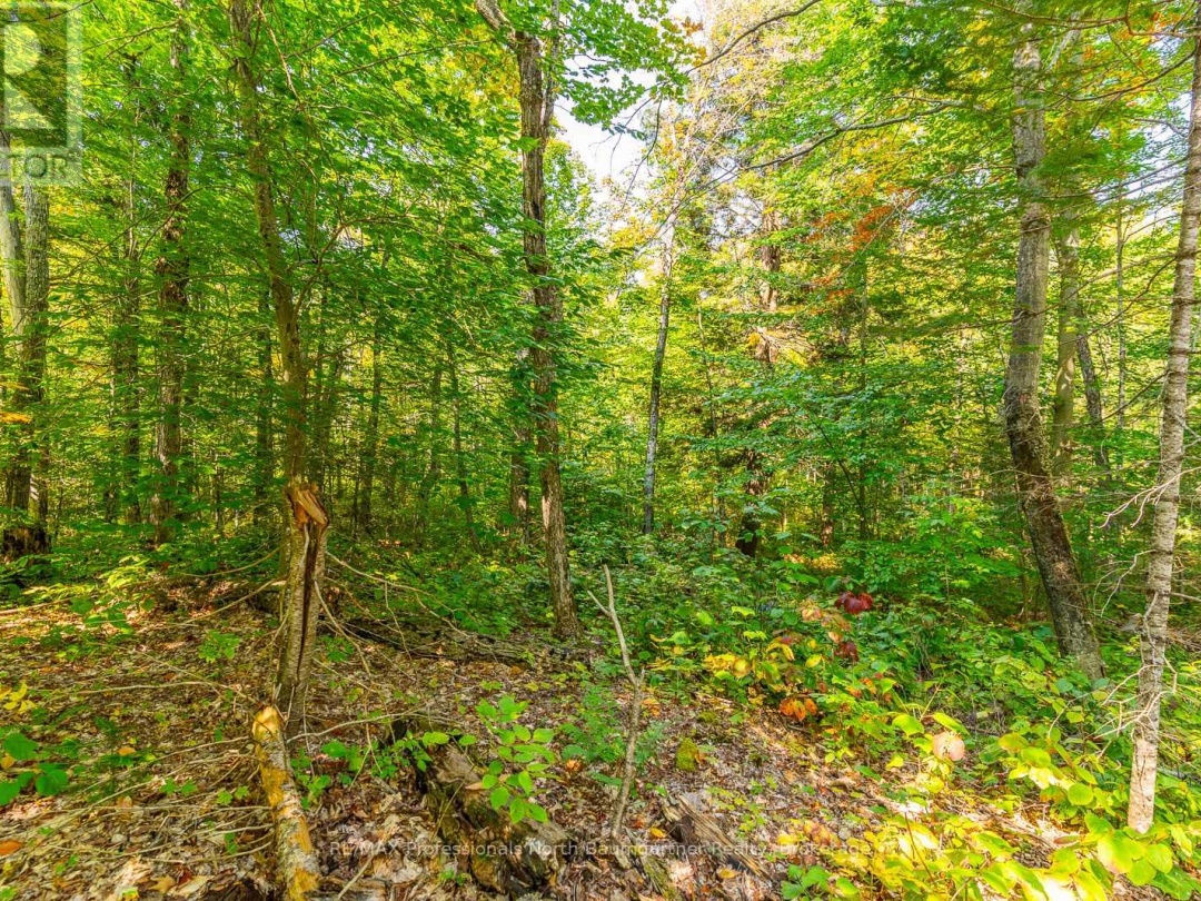 LOT 49 BASSHAUNT LAKE ROAD, 