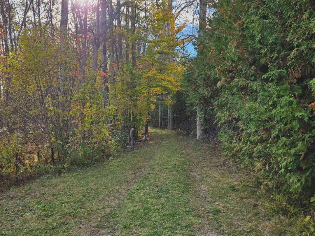 3040 GRASS LAKE LINE, Severn