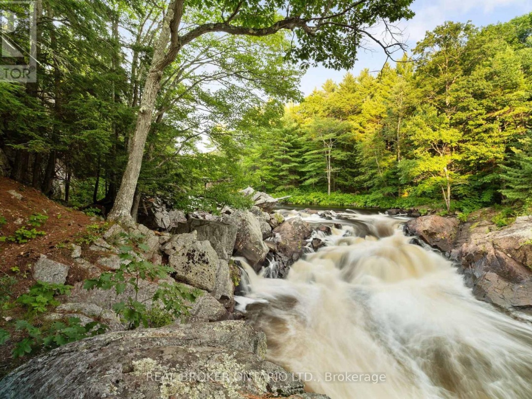 1401 COOPERS FALLS ROAD, Black River