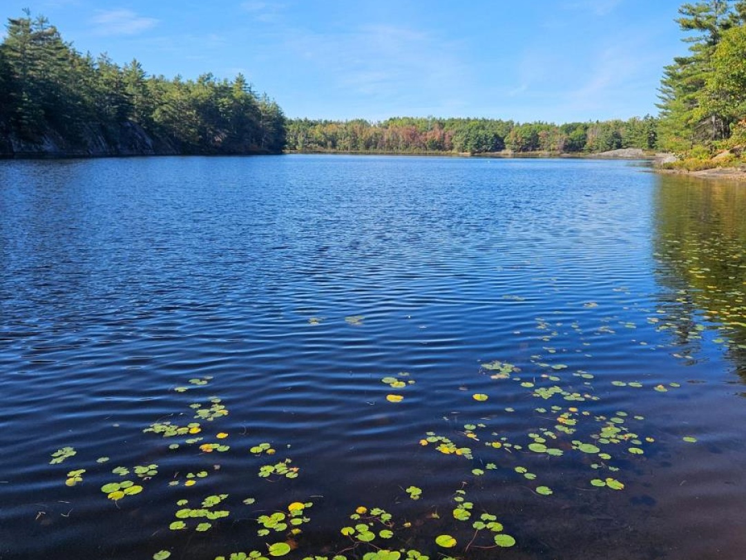 1112 SAM COOK ROAD, Little Sunny Lake