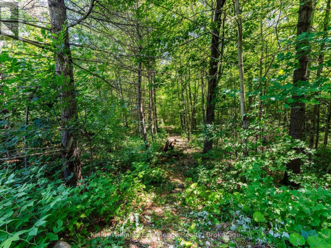 753 HONEY HARBOUR ROAD, Georgian Bay (Baxter)