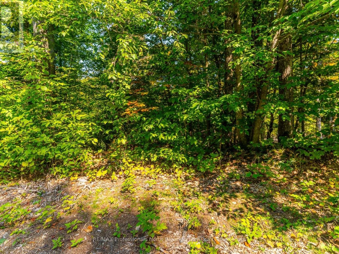 LOT 49 BASSHAUNT LAKE ROAD, 