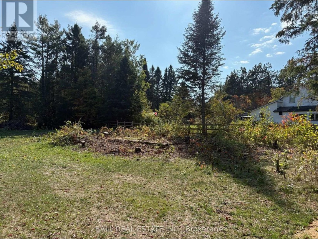 0 THE AVENUE, Kawartha Lakes (Kinmount)