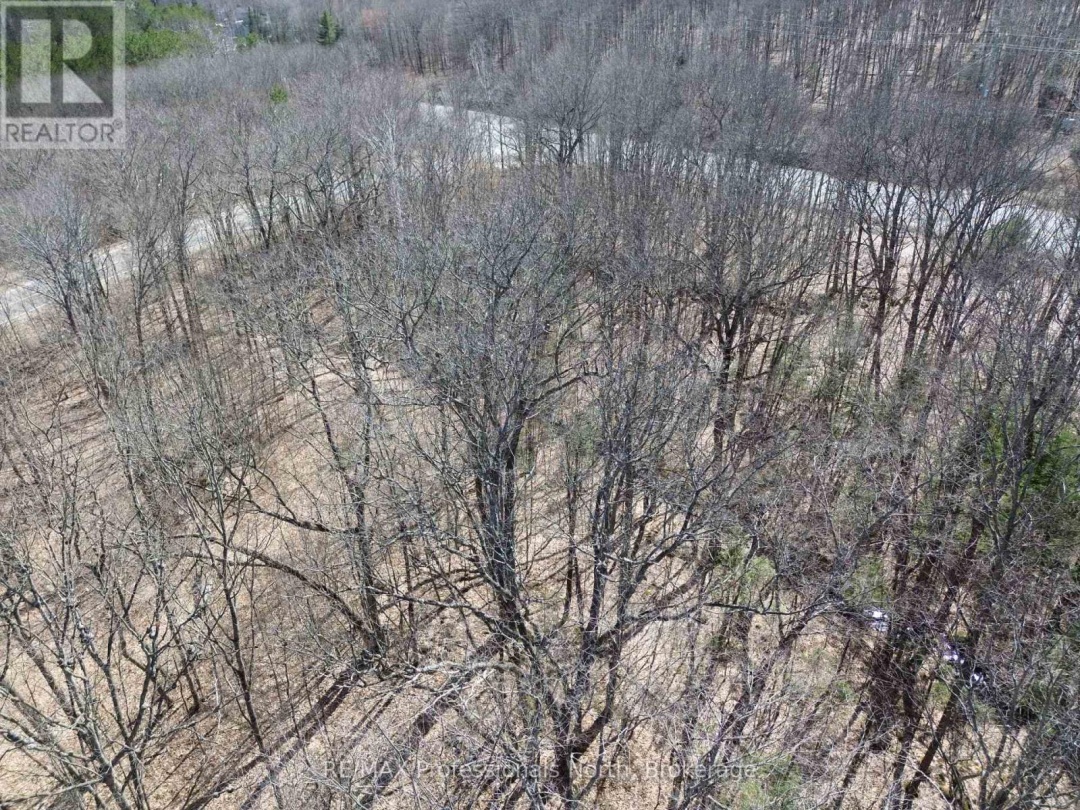 1023 LITTLE HAWK LAKE ROAD, Algonquin Highlands (Stanhope)