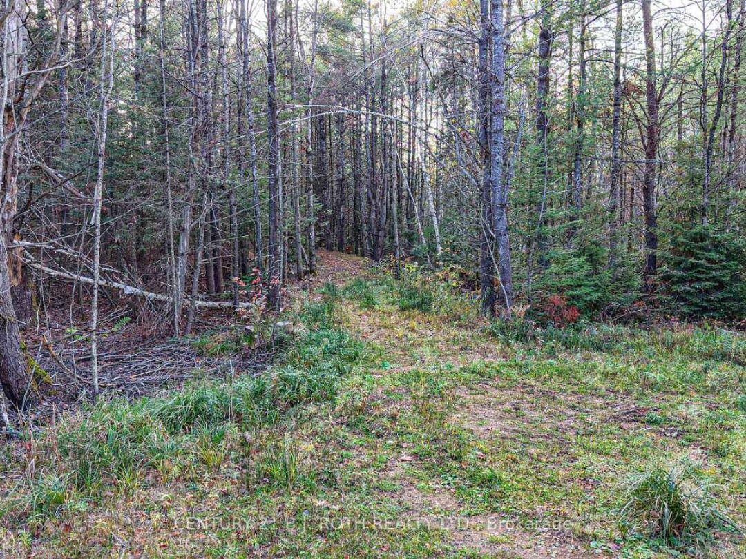 1036 HOPKINS ROAD, Gravenhurst (Ryde)