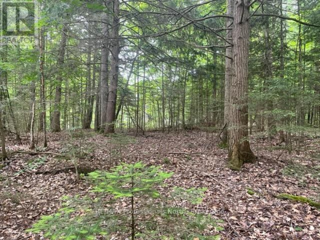 0 BIG HAWK LAKE ROAD, Algonquin Highlands (Stanhope)