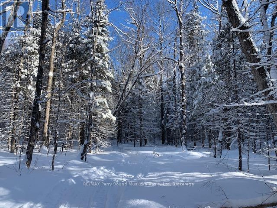 372 MCDOUGALL ROAD, 