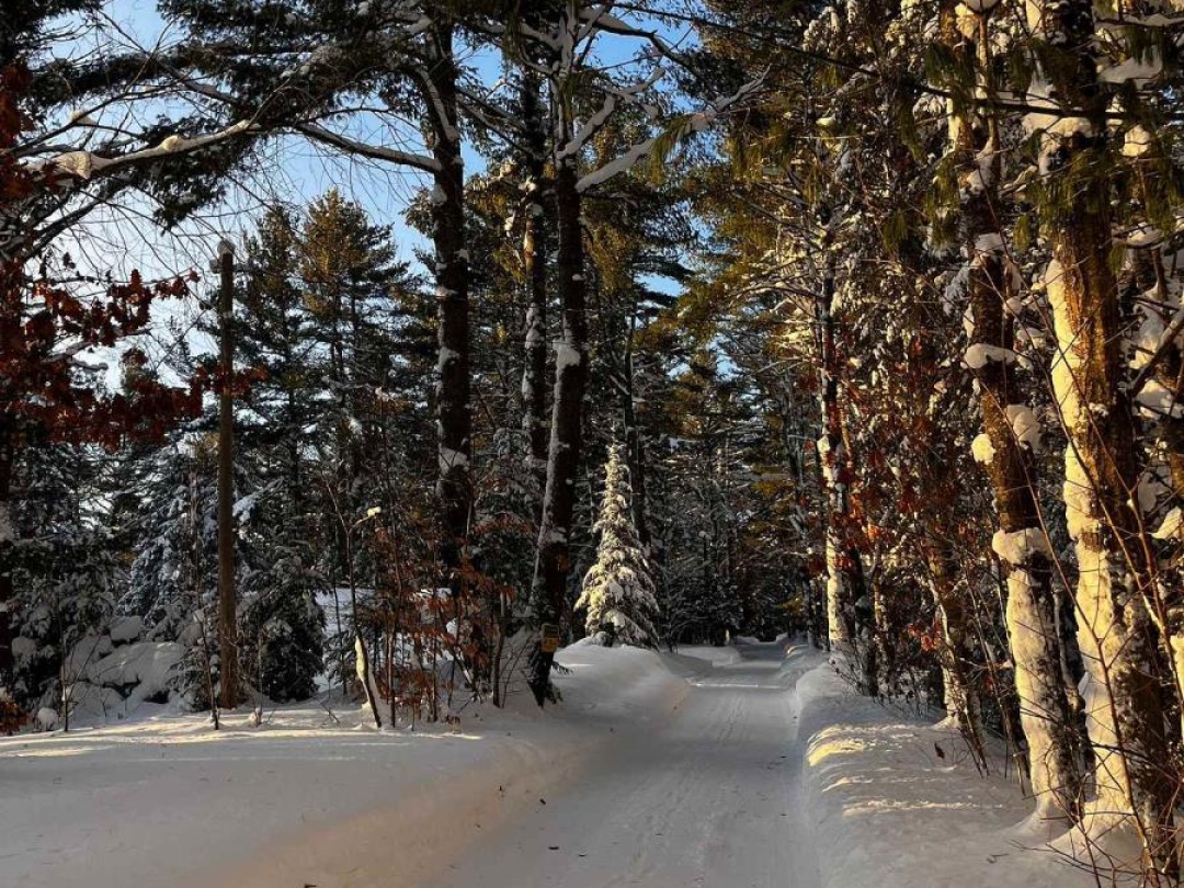 1019 FORRESTER TRAIL, Muskoka River