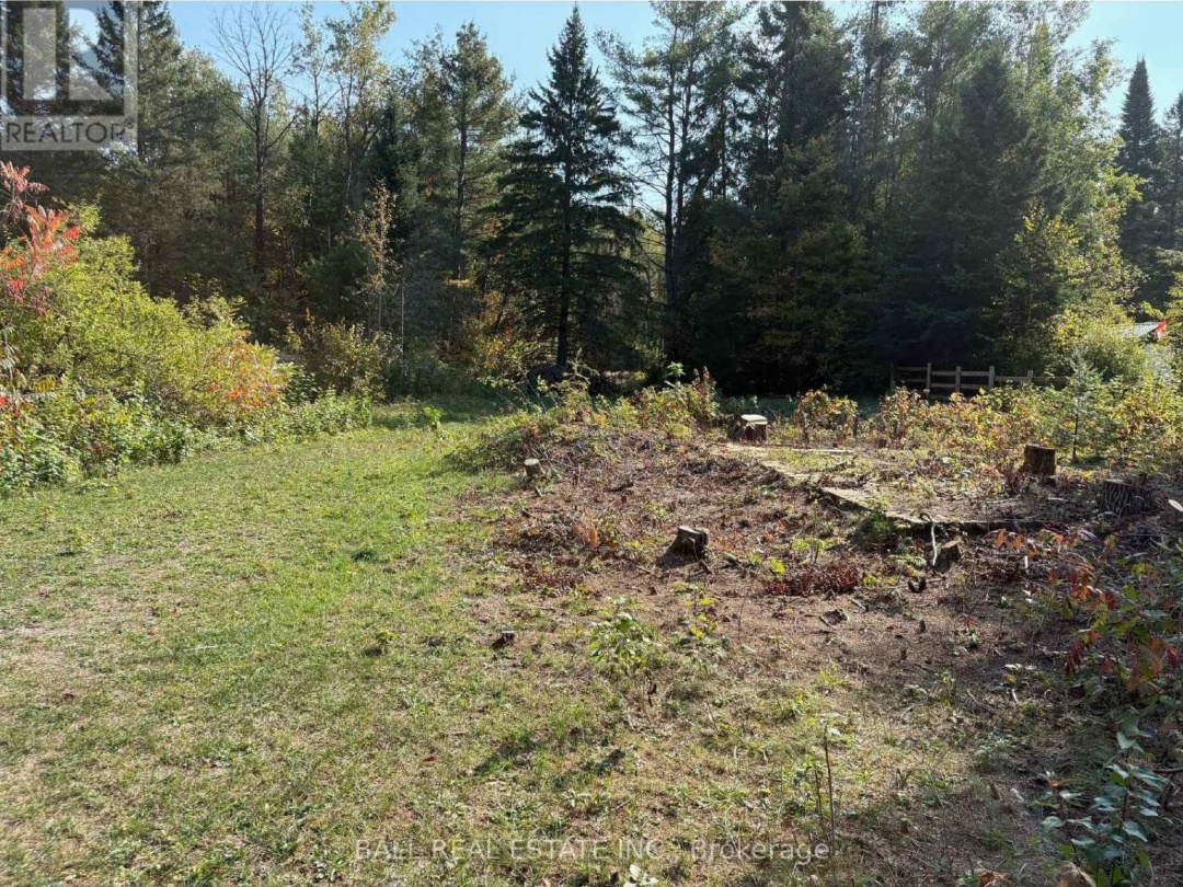 0 THE AVENUE, Kawartha Lakes (Kinmount)