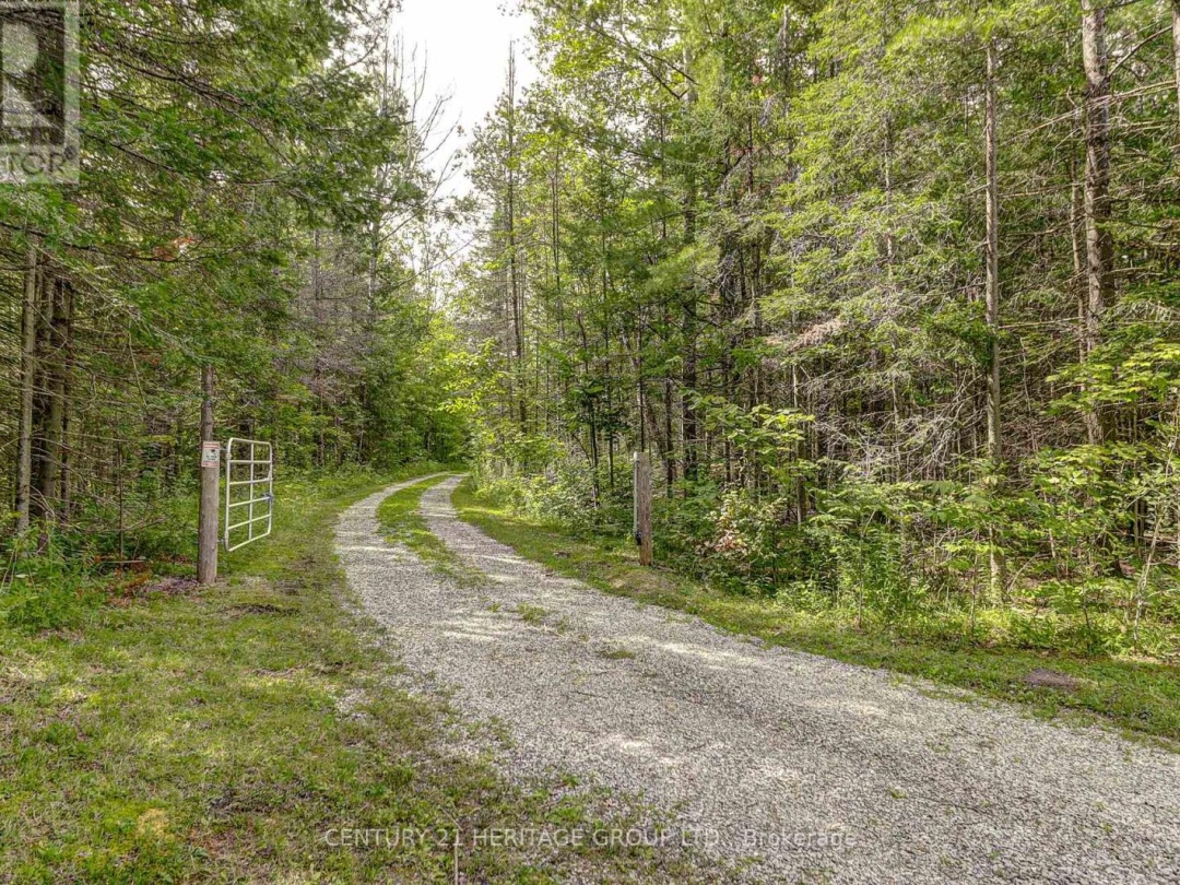 4411 UPPER BIG CHUTE ROAD, 