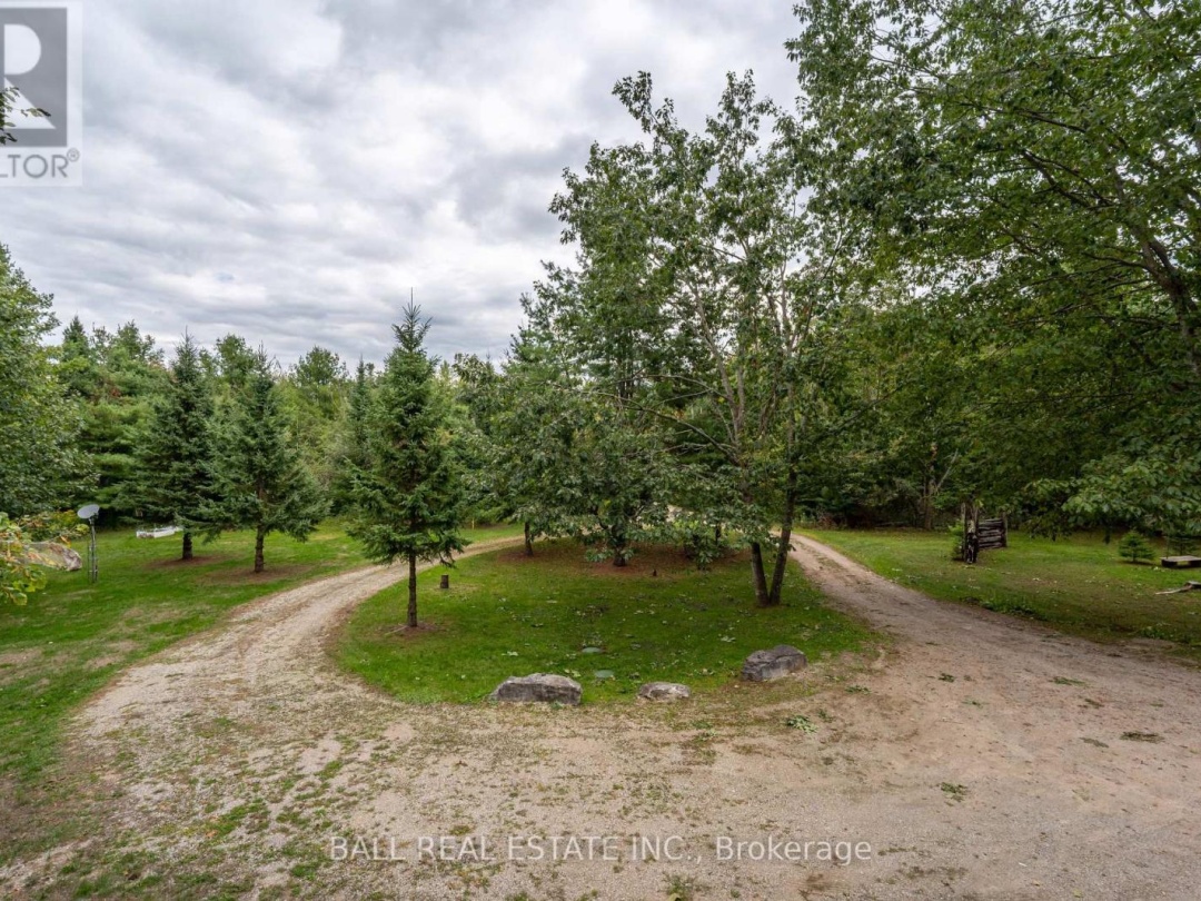 45 SPRING DRIVE, 