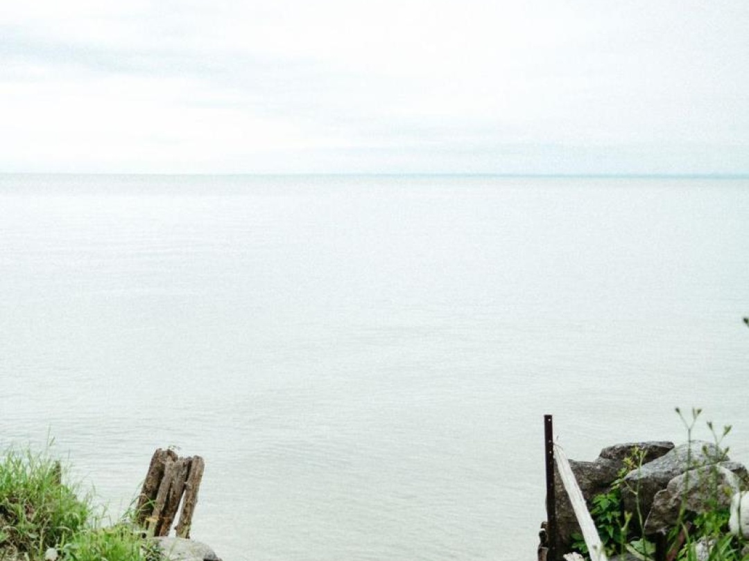 2730 LONE BIRCH TRAIL N, 