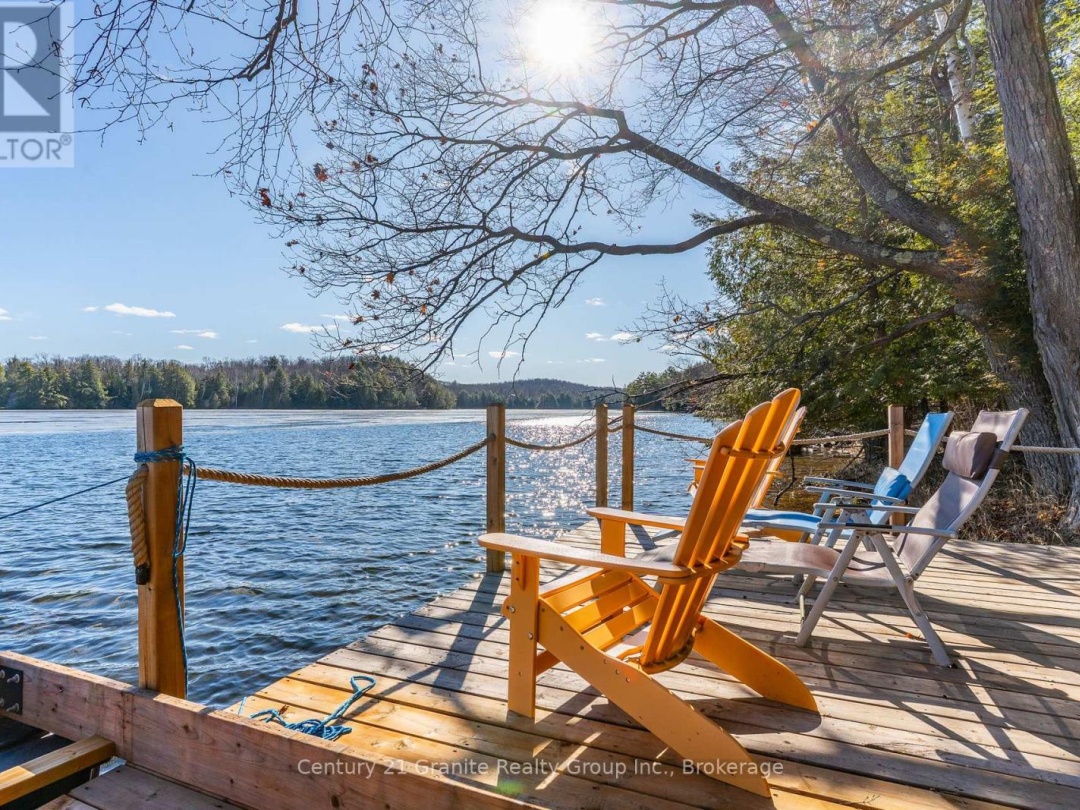 1133 SISU LANE, Long Lake