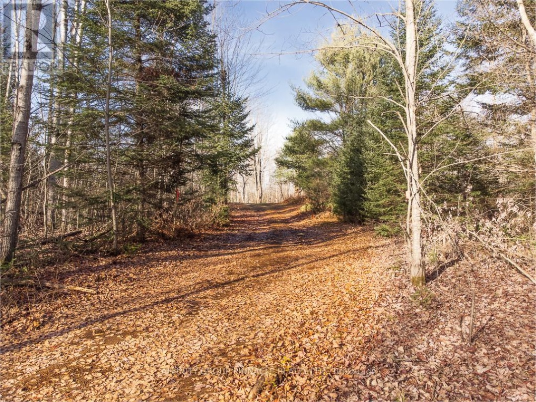 LOT 8 COMFORT DRIVE, Trooper Lake