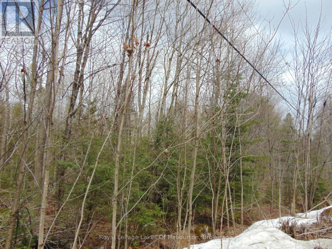 LOT 11 PLAN 580 NORTH DRIVE, Dysart et al (Guilford)