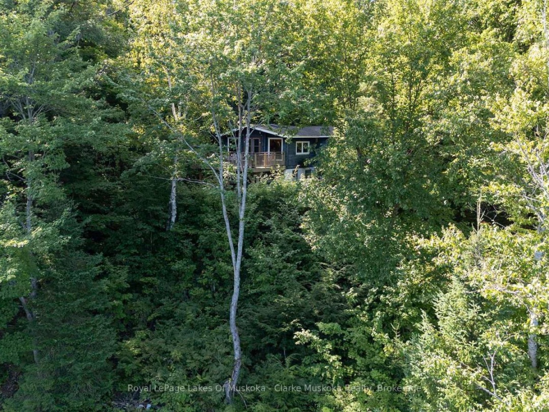 74 LIONESS ROAD, Lioness Lake
